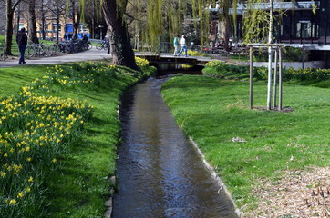 Unipark in Freiburg im Frühling
