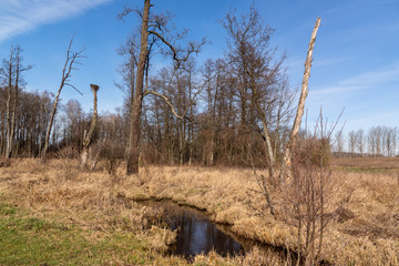 Dolina Górnej Narwi. Rzeka Mieńka. Wiosna na Podlasiu. Polska © podlaski49