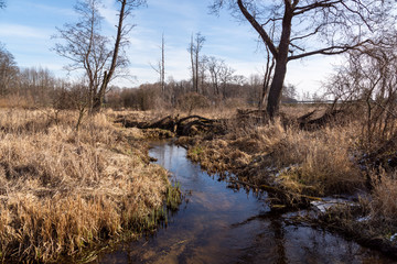 Obraz na płótnie Canvas Dolina Górnej Narwi. Rzeka Mieńka. Wiosna na Podlasiu. Polska