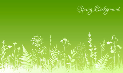 Green-white spring floral background. Vector illustration.