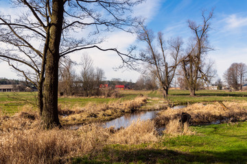 Dolina Górnej Narwi. Rzeka Mieńka. Wiosna na Podlasiu. Polska © podlaski49