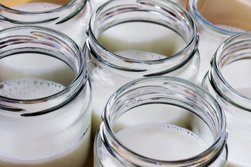Glass jars with natural homemade organic yogurt in yogurt maker. Close-up.