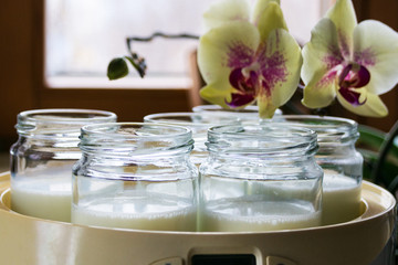 Glass jars with natural homemade organic yogurt in yogurt maker. Nearby is a delicate pink orchid flower.