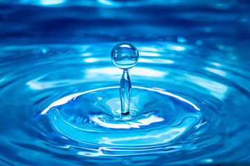 Fototapeta na wymiar A drop of blue water falls into the water surface. Close-up. Splashes of water and concentric circles.