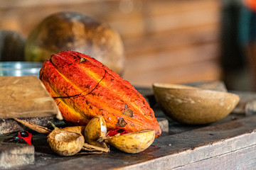 Cocoa Beans from Factory in Grenada