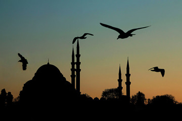 Fototapeta na wymiar The Suleymaniye Mosque of Istanbul in silhouette at sunset.Classical view of it.Ramadan concept.