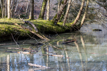 See im Naherholungsgebiet Schlater Wald