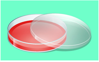 Petri dish with led in CMYK  color, objects-separated by laters.