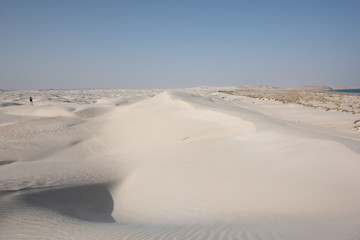 Oman The desert dunes of Wahiba Sands