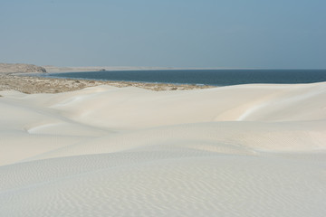 Oman The desert dunes of Wahiba Sands