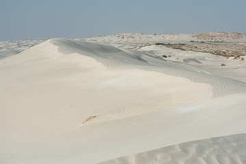 Oman The desert dunes of Wahiba Sands