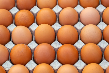 Group of organic free range chicken eggs in the basket at nature village farmland. Fresh eggs for sale at a market. Fresh Chicken Rooster Eggs on at Local Farmer Market.