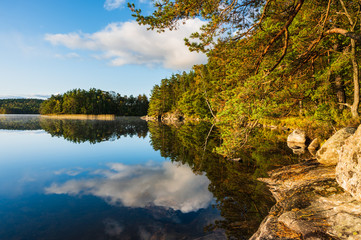 Forest reflects on calm lake, Sweden.
