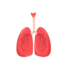Human lungs isolated on a white background. Vector illustration in flat style