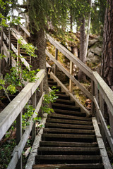 Wooden stairs to the top of the hill