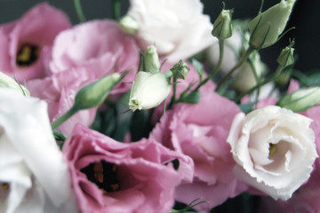 bouquet of pink prairie gentian flowers (Eustoma grandiflorum)