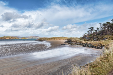 Low Tide at Ards Forest Park