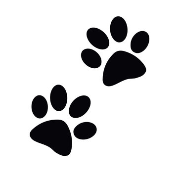 Dog, paw, sign, vector illustration