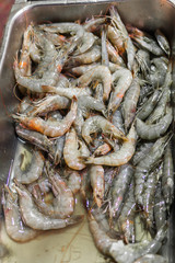 Large fresh shrimp are sold at the fish market