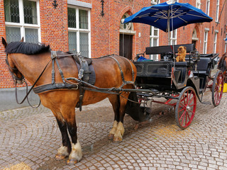 Fototapeta na wymiar Horse carriage in medieval old city of Bruges