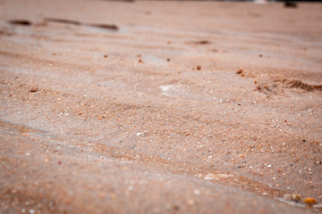 Fototapeta na wymiar Sand Carneiros beach in Recife Brazil