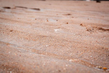 Sand Carneiros beach in Recife Brazil