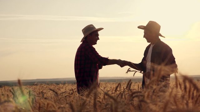 eam work. Two farmers stand at sunset in a wheat field, and discuss the new crop.. Farmers use new technologies in agriculture. Growing organic products.