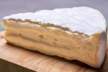 French cheese camembert made from cow milk in Normandy, France