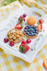 Picnic at the park. Fresh fruits and tarts with berries and nuts