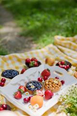 Picnic at the park. Fresh fruits and tarts with berries and nuts