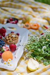 Picnic at the park. Fresh fruits and tarts with berries and nuts