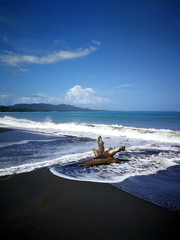 Wunderschöne Brandung mit Treibholz im schwarzen Sand, Playa Negro, Costa Rica, Puerto Viejo
