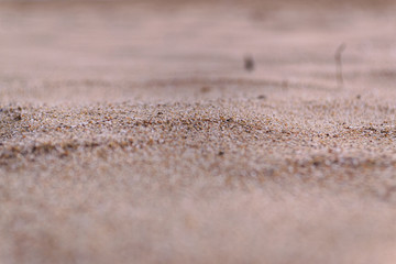close-up sand texture for a copy of the space