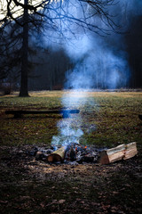 Ognisko w lesie  © Tomasz