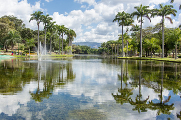 Fototapeta na wymiar Lake and beautiful palm trees in the park