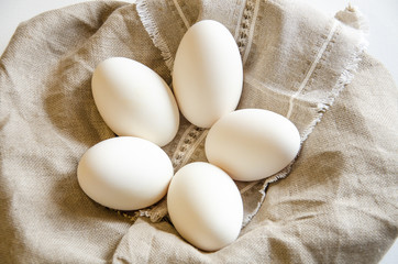 Easter background big white goose eggs and chicken eggs