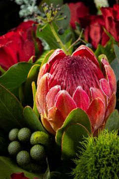 Nice Closeup Bouquet With Giant Protea, Vertical Photo. Useful For Greeting Cards, Social Media And Print Design