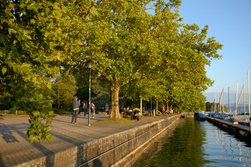 balade au bord du lac de Zurich - Suisse 