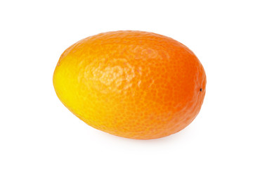 Cumquat or kumquat isolated on white background