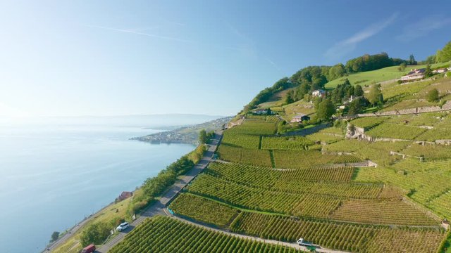 Copter flight through Lavaux vineyars at Lake Geneva shoreline in Switzerland. Lake Geneva at background