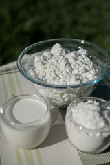 Fresh homemade cottage cheese, milk and eggs. Ingredients for cottage cheese pancakes with oats. Dairy products. Healthy breakfast.
