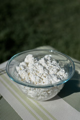 Fresh homemade cottage cheese, milk and eggs. Ingredients for cottage cheese pancakes with oats. Dairy products. Healthy breakfast.
