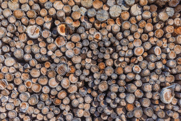 Brennholzstapel als Hintergrund