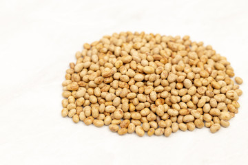 Soybeans Isolated Above White Background