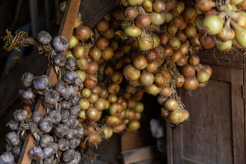 braids of garlics and yellow onions are hanging and drying