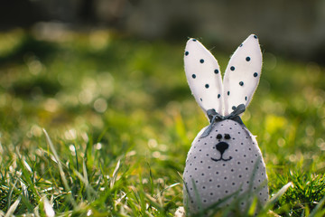 Little rabbit in green grass. Easter bunny. Easter holiday concept.