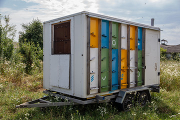 wooden colored hive on wheels with honey bees on a sunny day