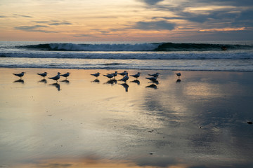 Naklejka premium Sunset