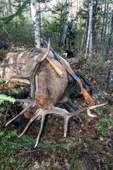 Hunting trophy Siberian deer with a gun and call.
