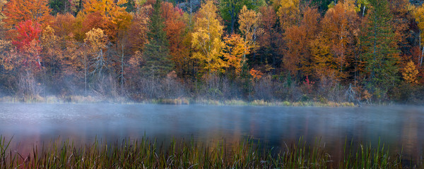 A panoramic view of the fall colors and mist rising at sunrise along the Michigamme River in Michigan's Upper Peninsula.
